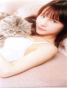 电视剧贤妻在线观看