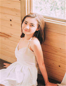 李宗瑞视频